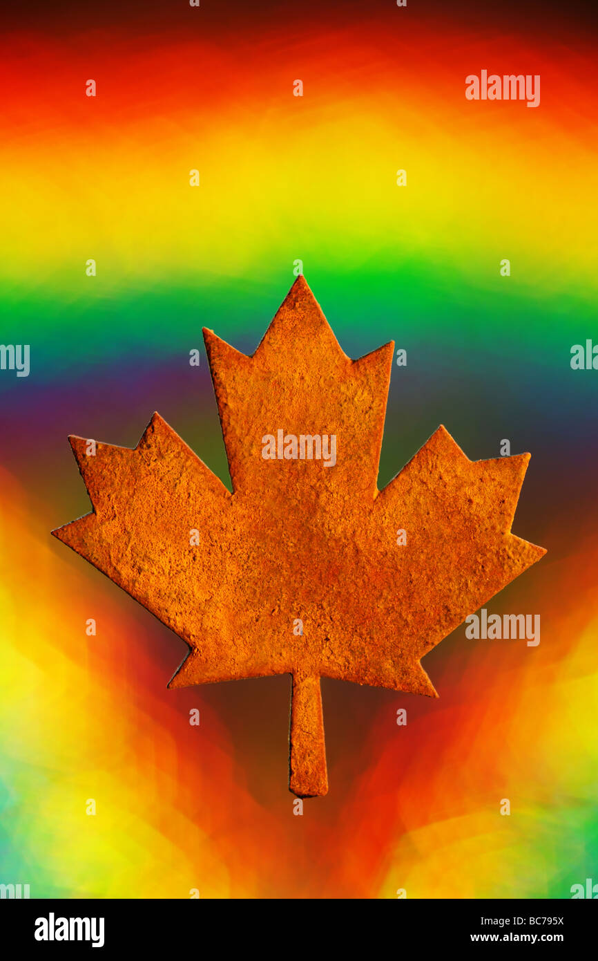 Canada maple leaf hi-res stock photography and images - Alamy