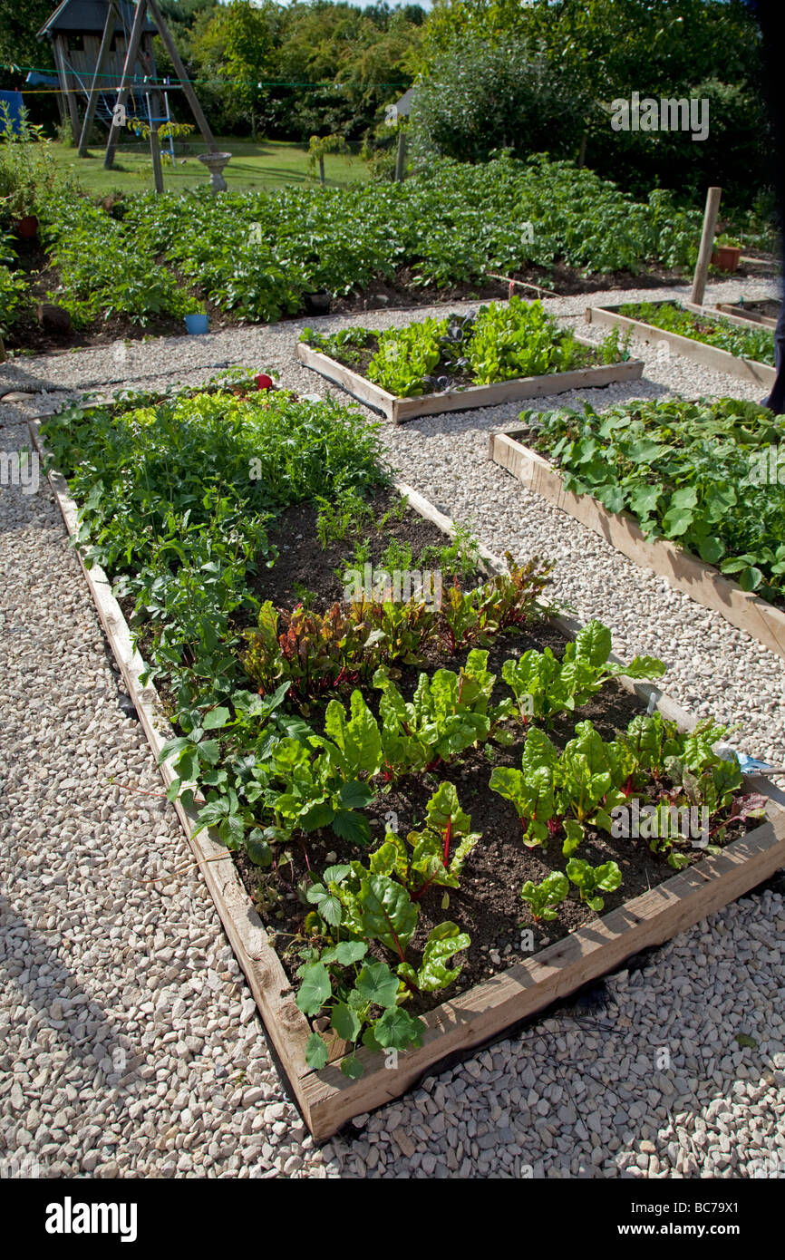 Raised beds growing vegetables hires stock photography and images Alamy