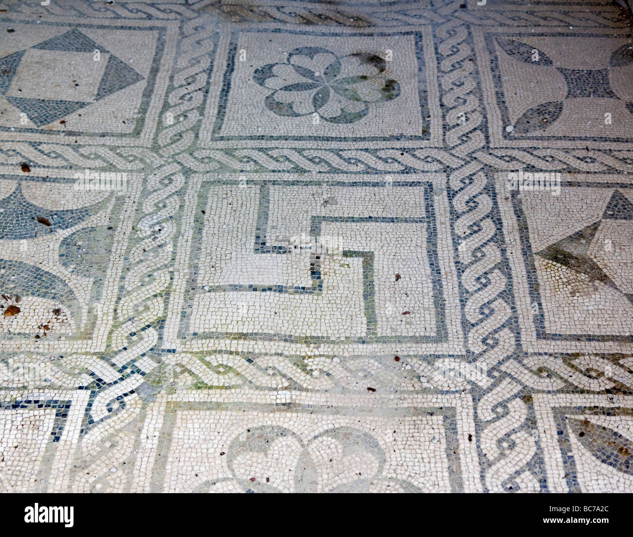 Mosaic floor of the baths complex Herculaneum Italy Stock Photo