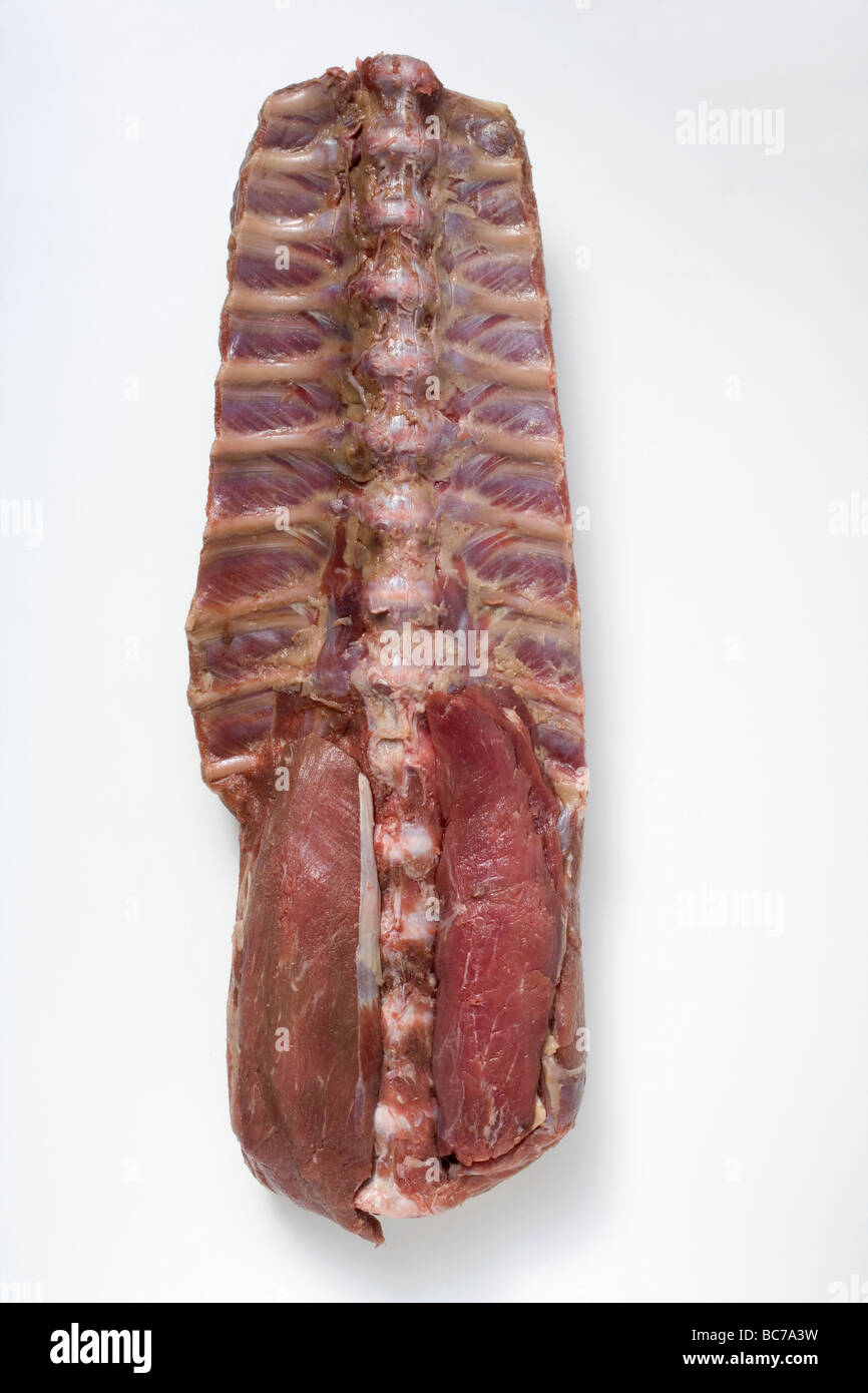 Raw pork fillet with ribs and chine bone - Stock Photo