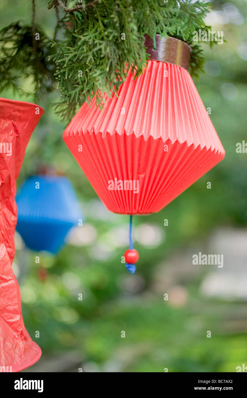 Chinese lanterns (garden party decorations Stock Photo Alamy
