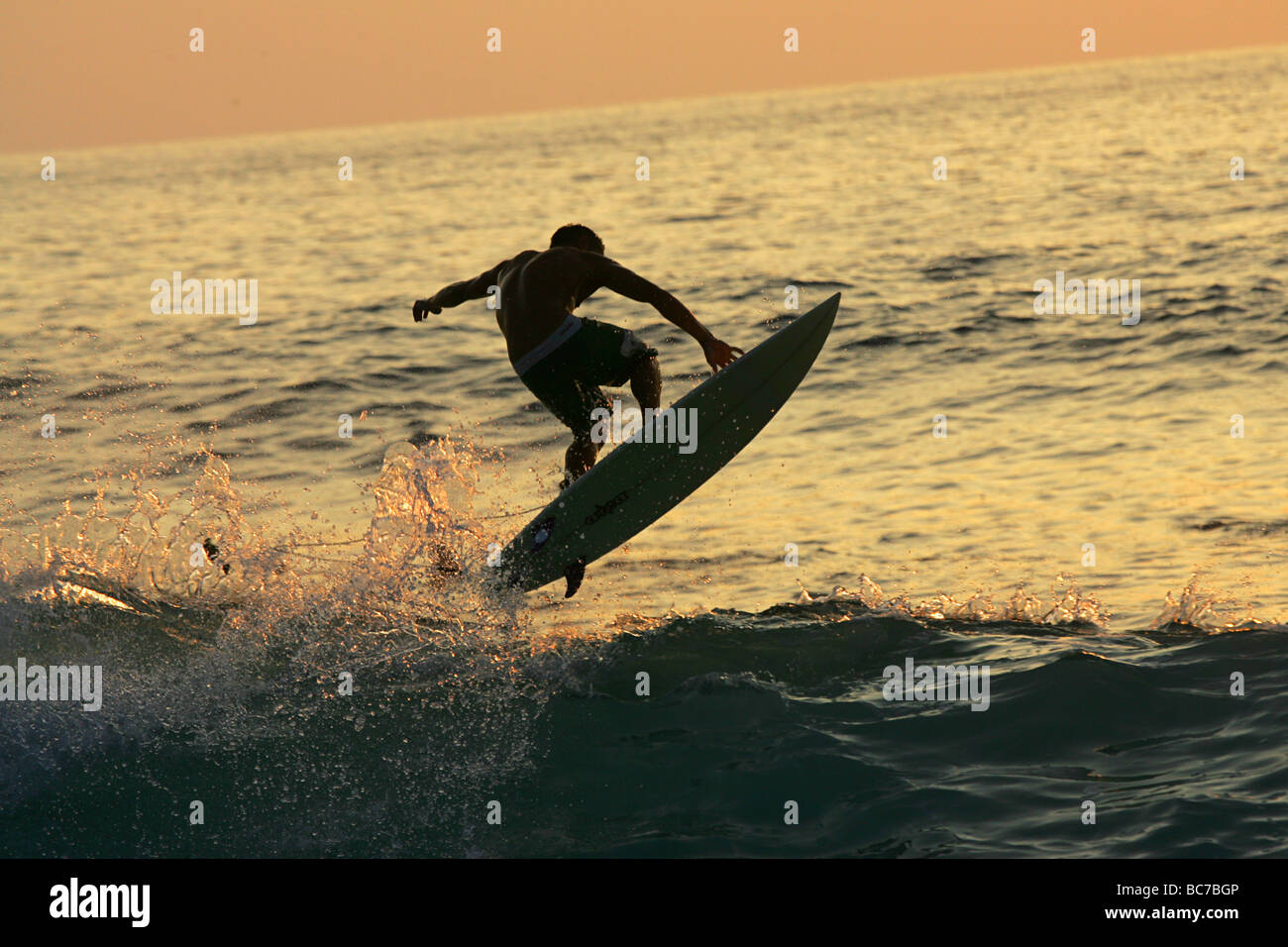 Surfer at Sunset - Hawaii Stock Photo - Alamy