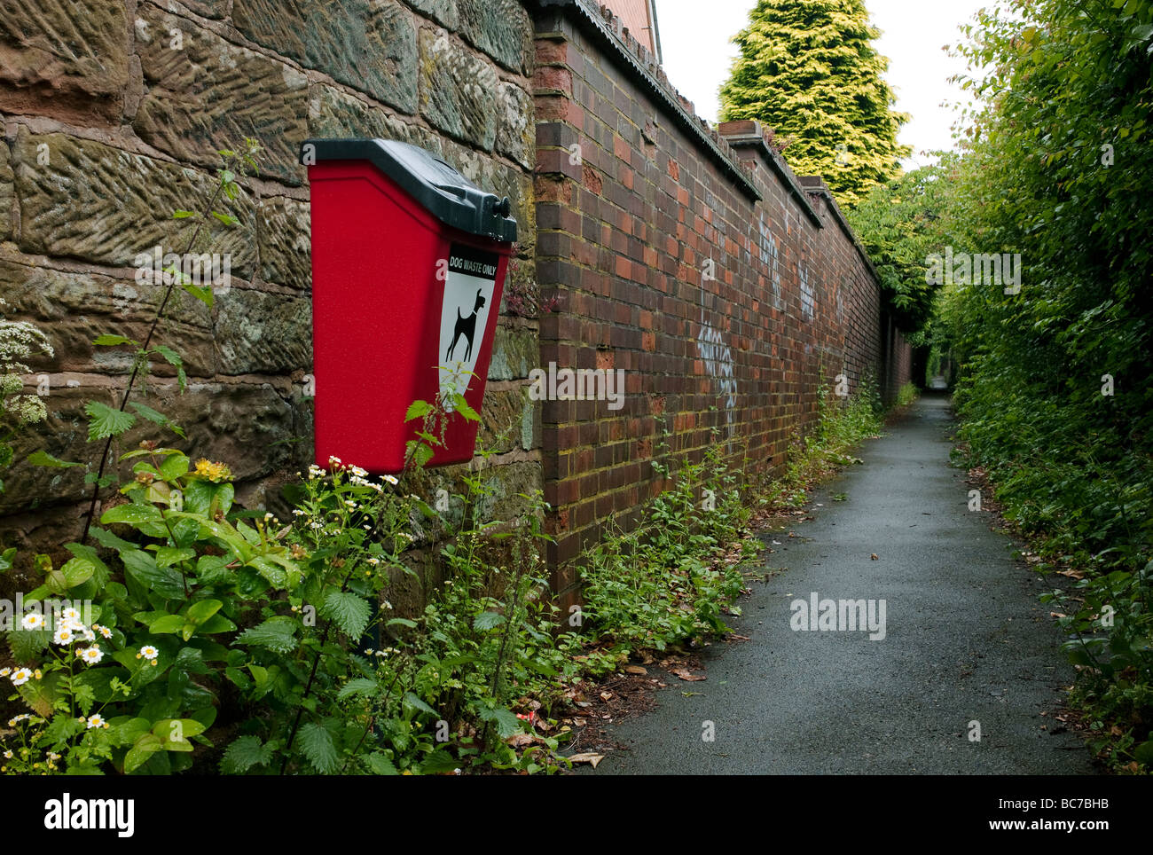 A bin for dog waste in an alley way in Bromsgrove, Worcestershire, UK Stock Photo
