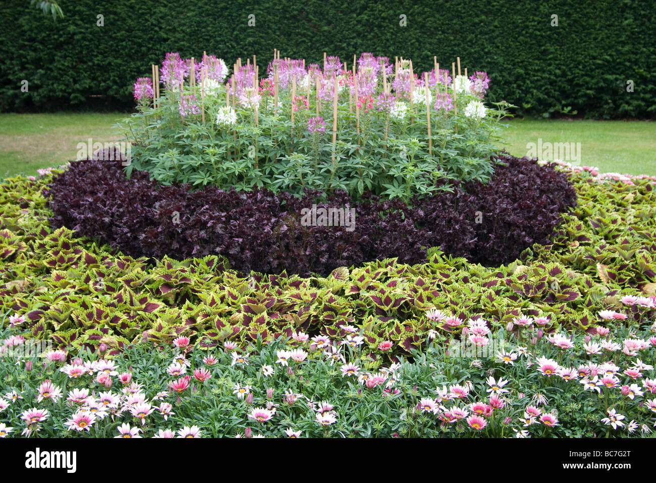 landscaped summer flowers colors colours plants blooms greenwich gardens park london england UK Europe Stock Photo