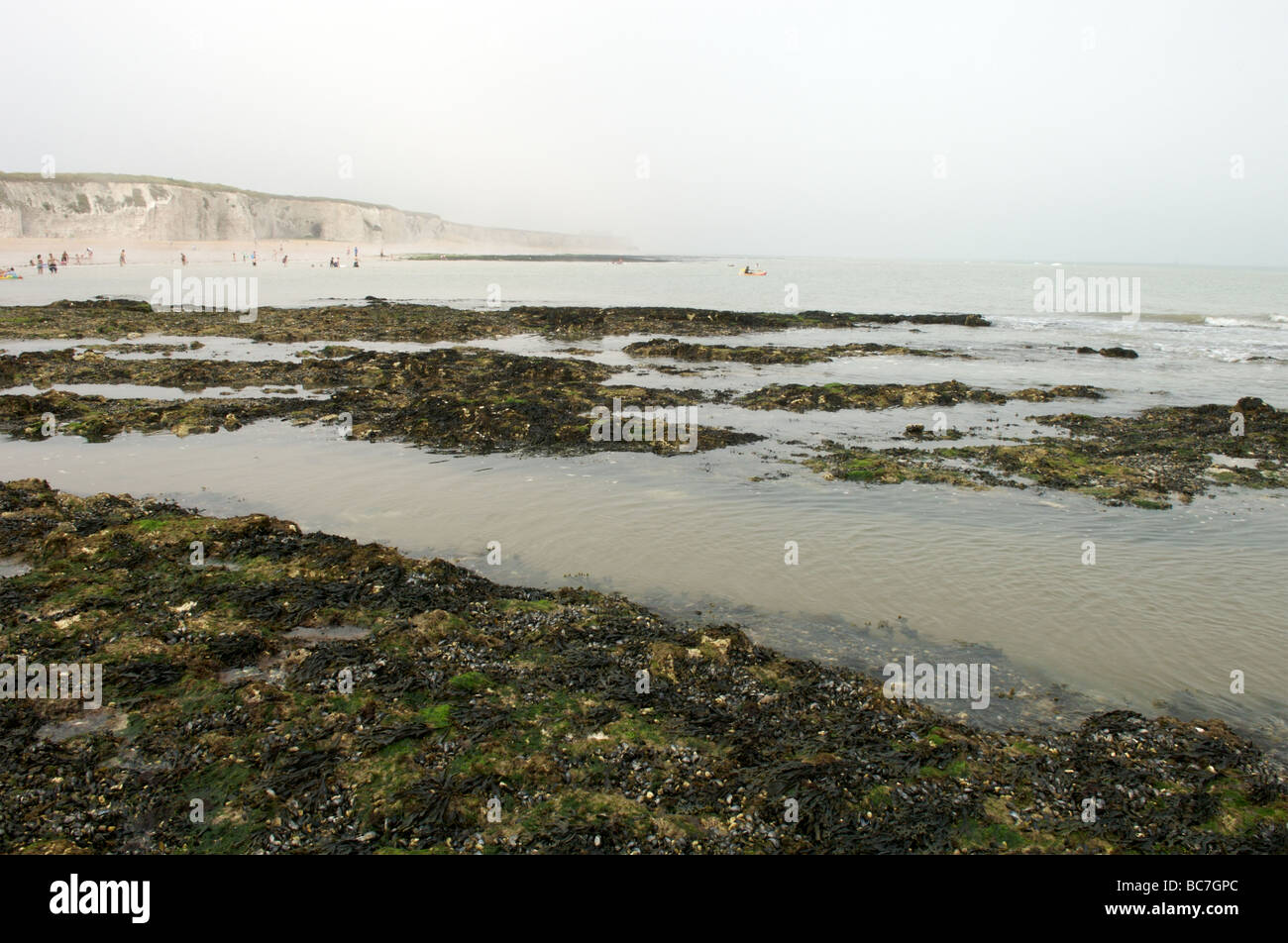 Botany Bay, Kent Stock Photo Alamy