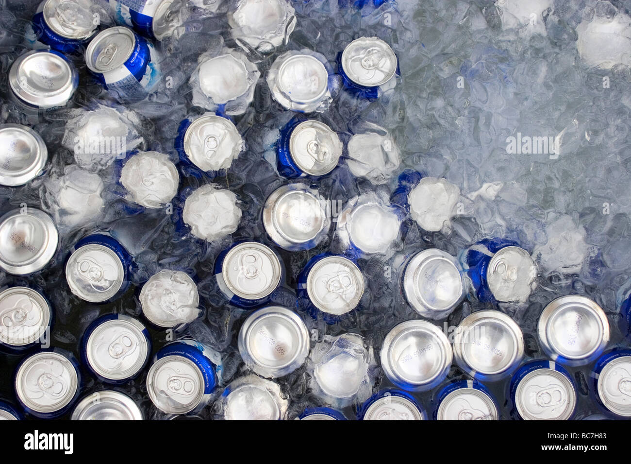 Ice Cold Beer Can High Resolution Stock Photography and Images Alamy