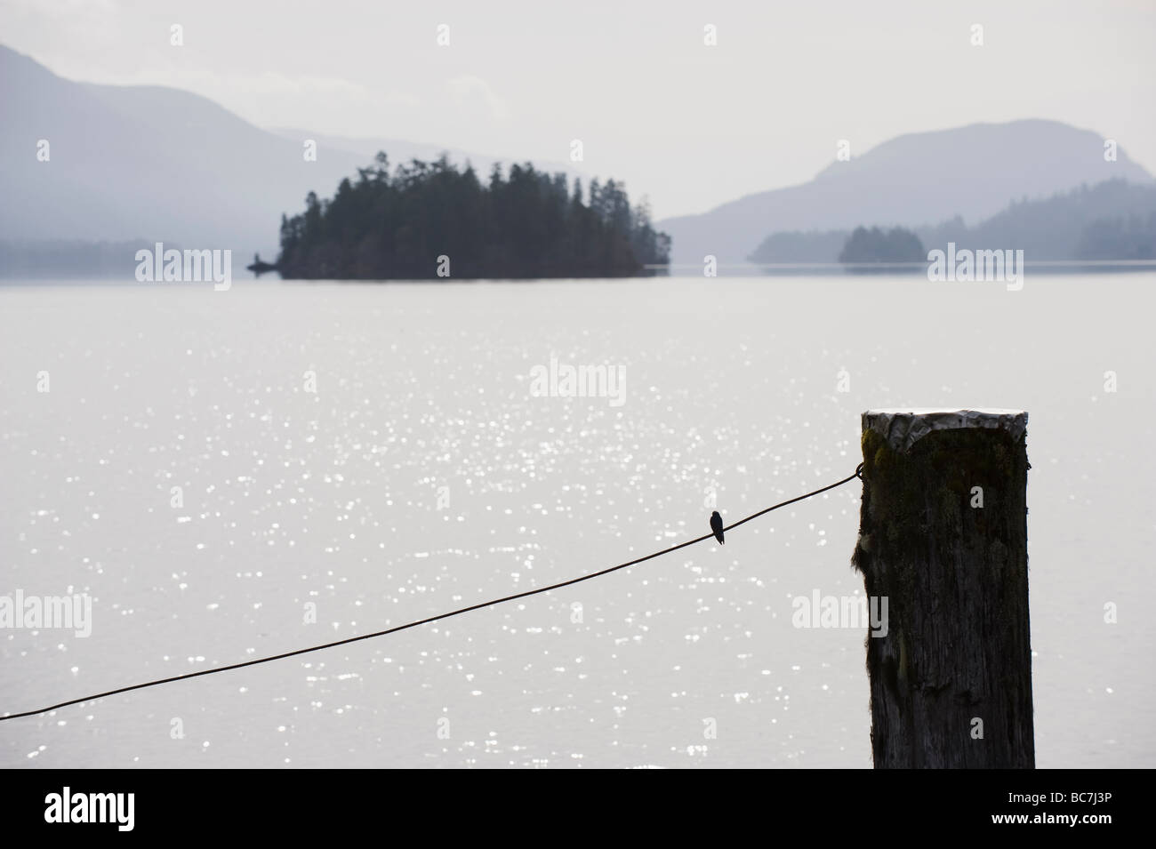 Cowichan Lake Vancouver Island British Columbia Canada Stock Photo Alamy