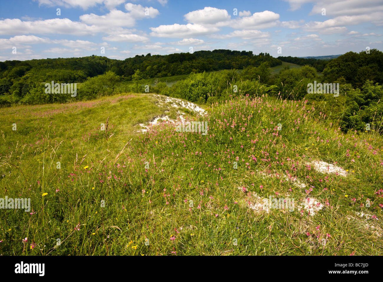 Chalk pits hires stock photography and images Alamy