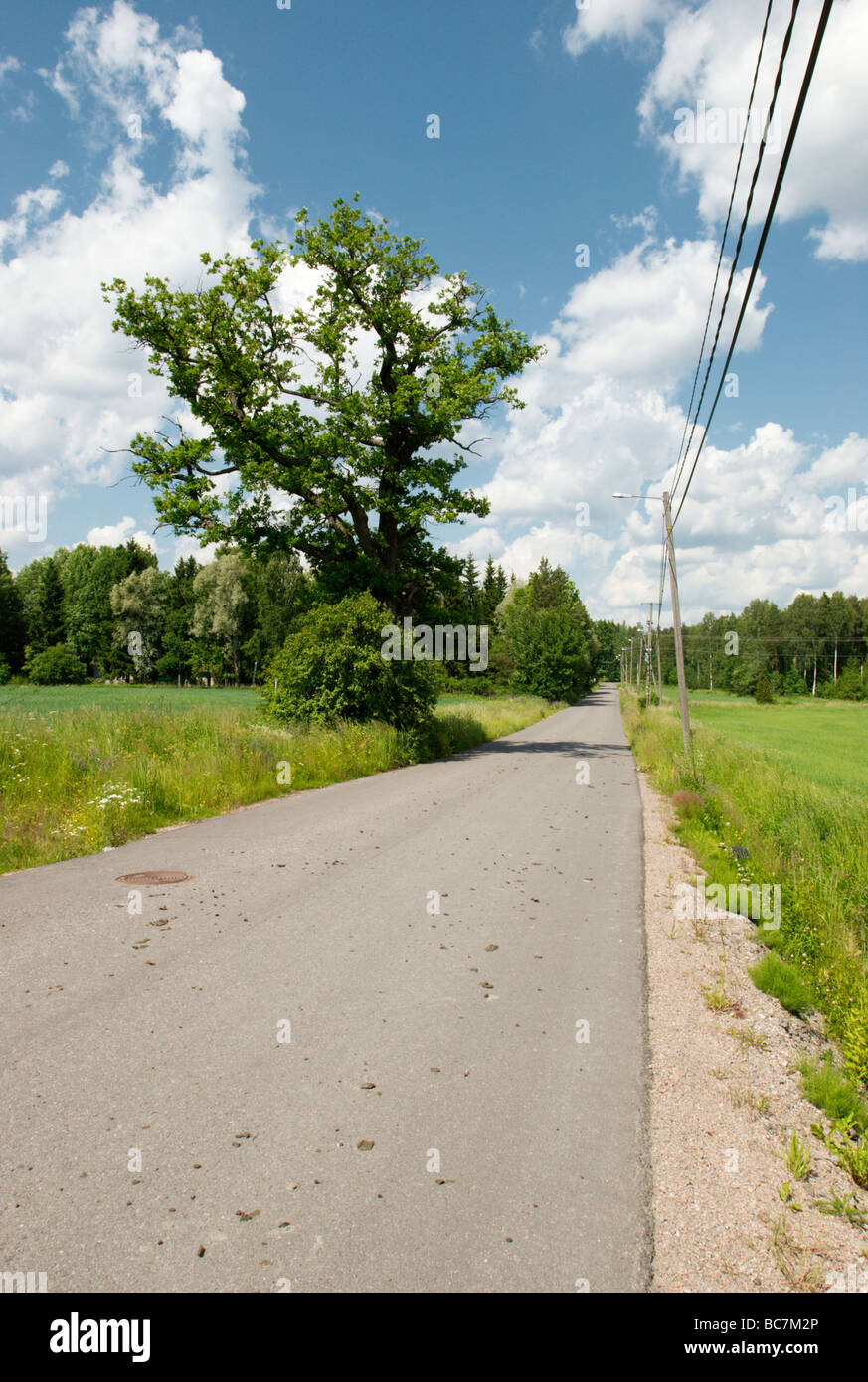Road road road road tree hi-res stock photography and images - Alamy