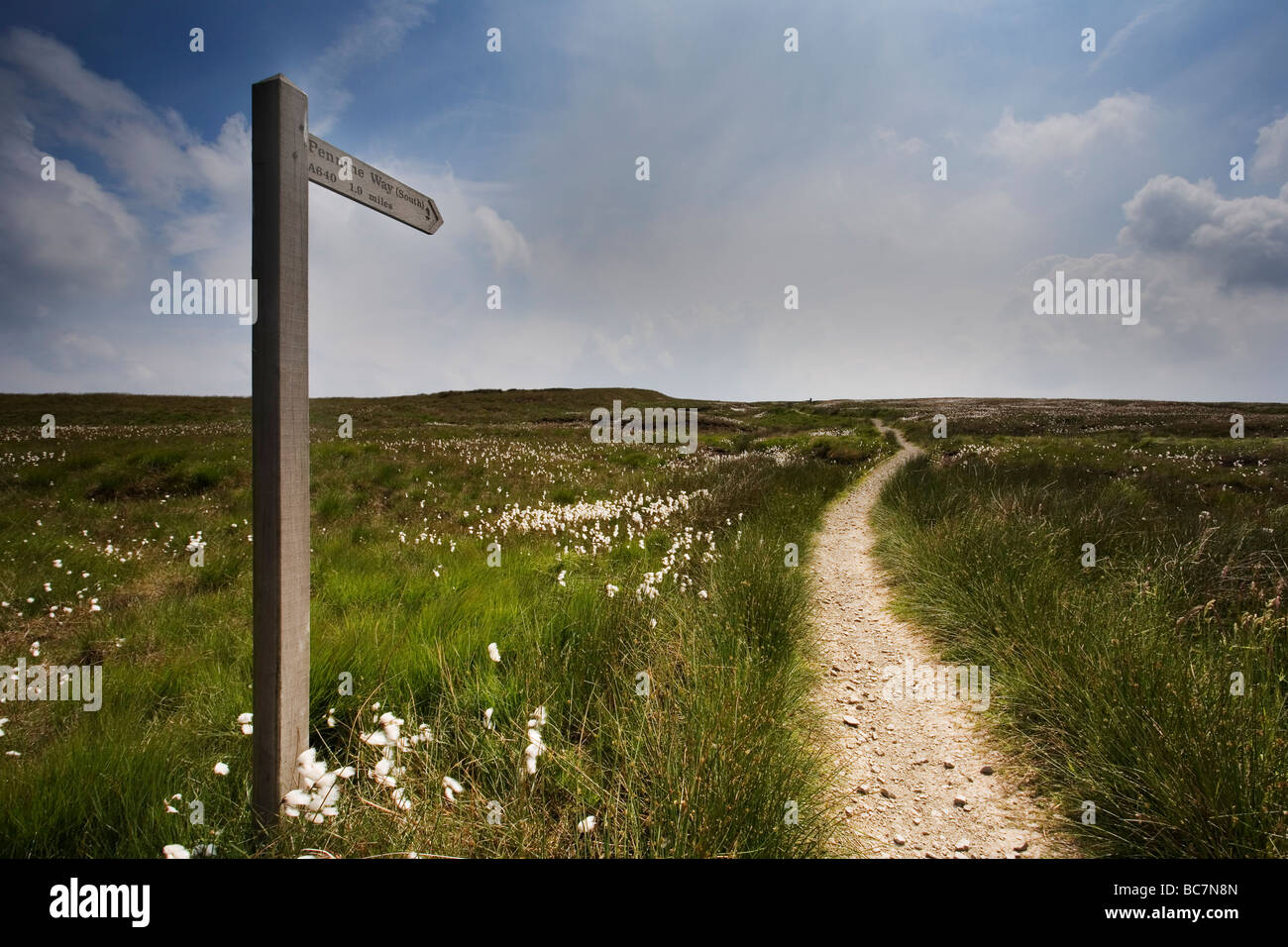 The Pennine Way footpath and signpost at Saddleworth Moor. The signpost reads 'pennine way south 1.6 miles' Stock Photo
