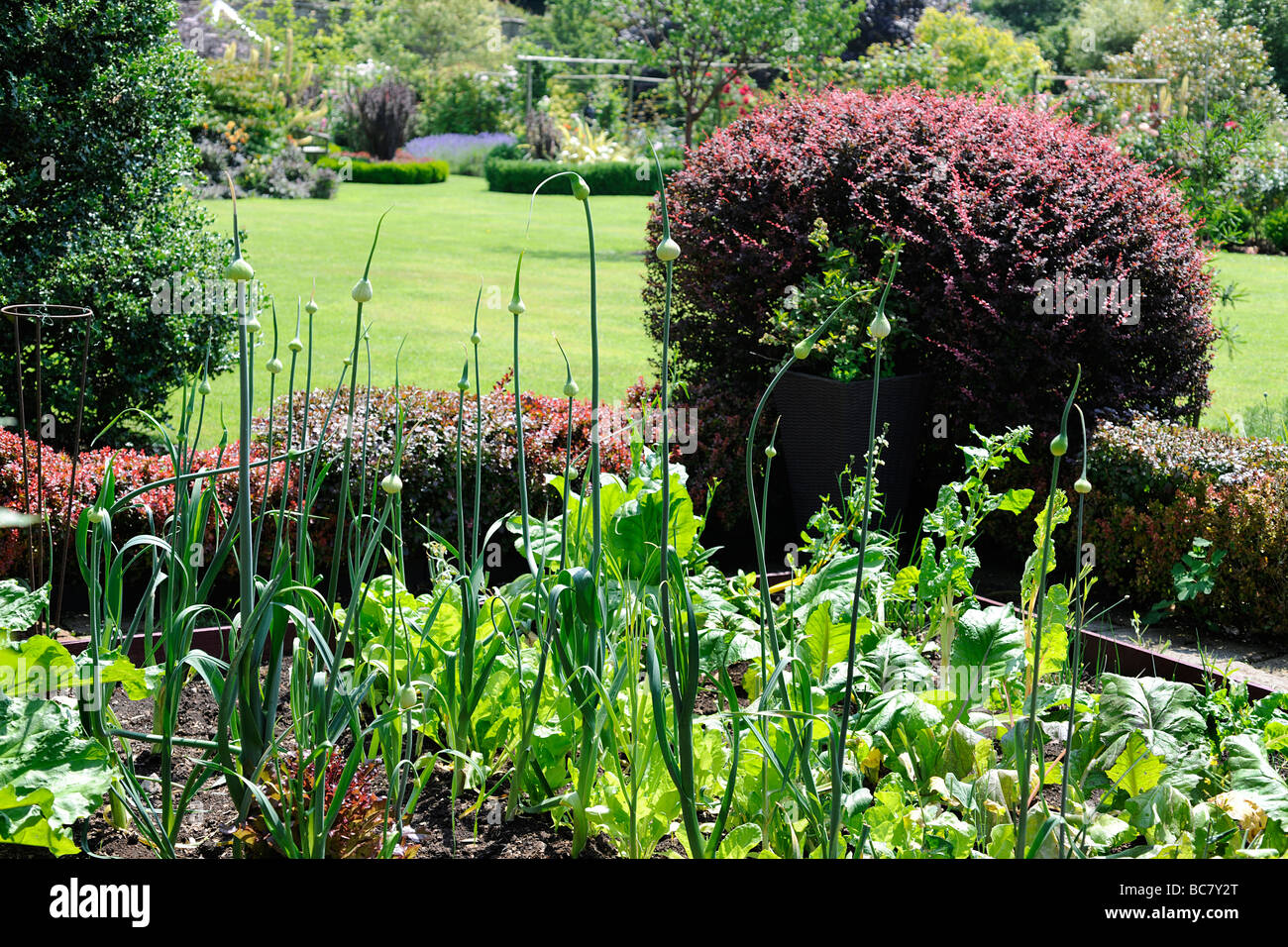 Vegetable garden plots in a landscaped English Garden in Stoberry Park, Somerset, UK Stock Photo