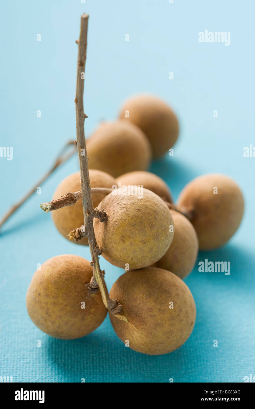 Longans with stems Stock Photo Alamy