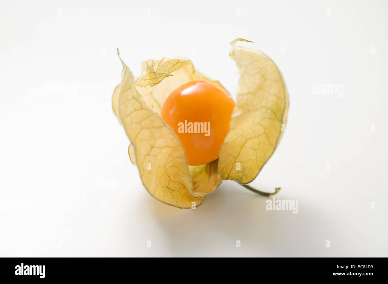 Physalis with husk Stock Photo - Alamy