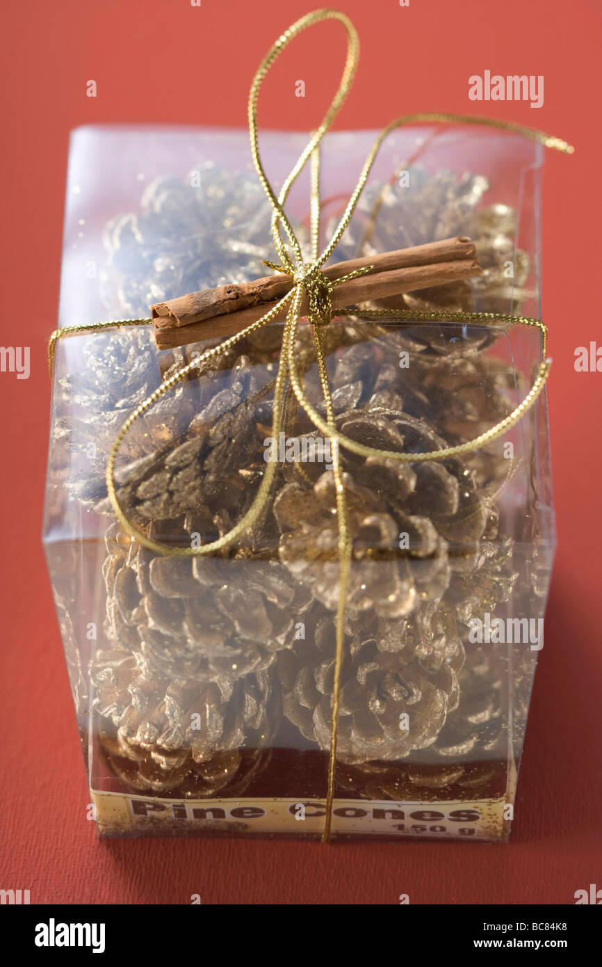 Pine cones in plastic box to give as a gift - Stock Photo