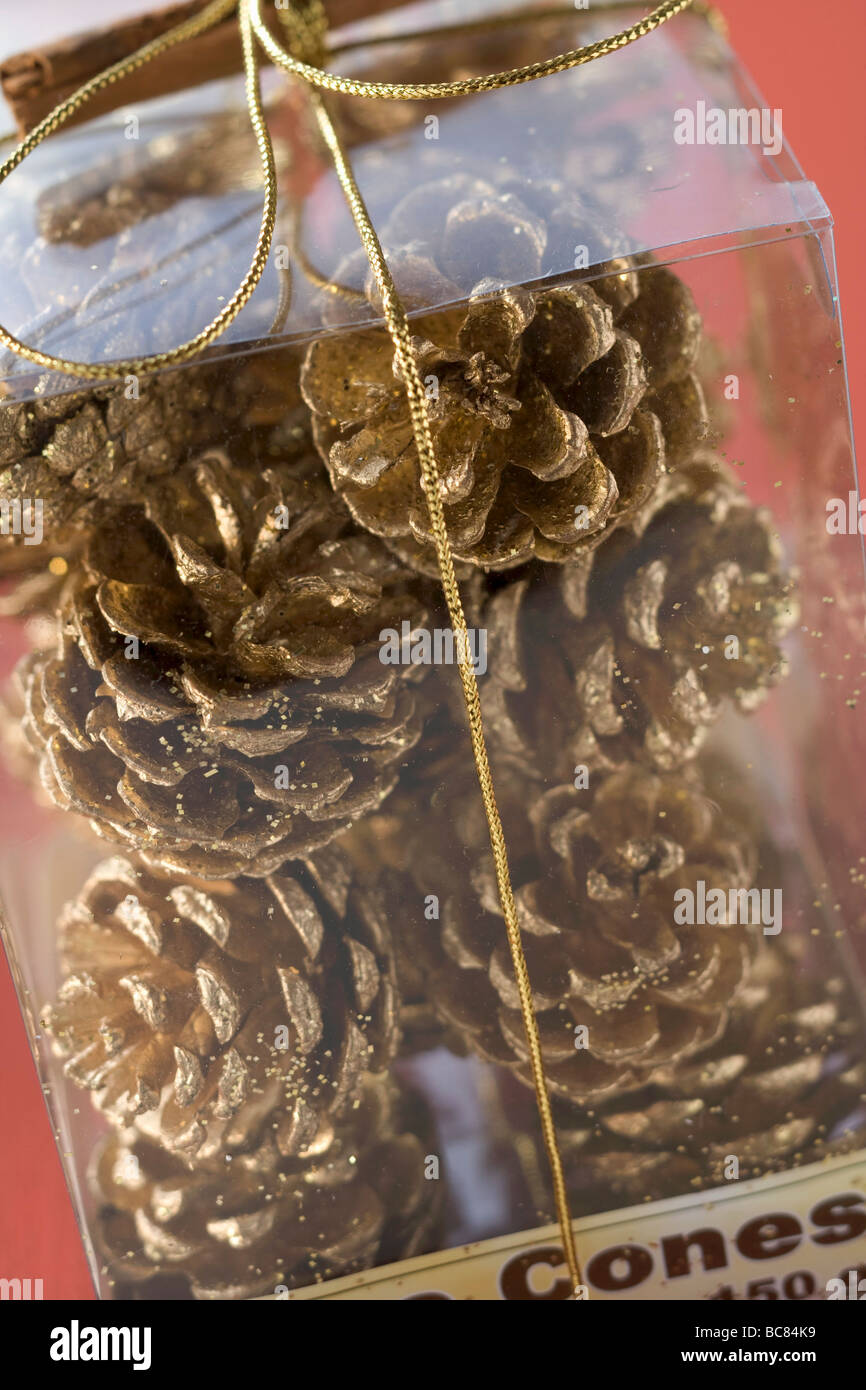 Pine cones in plastic box to give as a gift (close-up) - Stock Photo