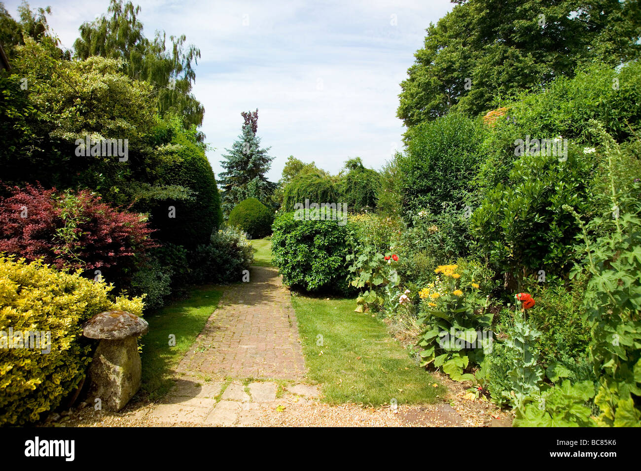Cottage garden border hi-res stock photography and images - Alamy