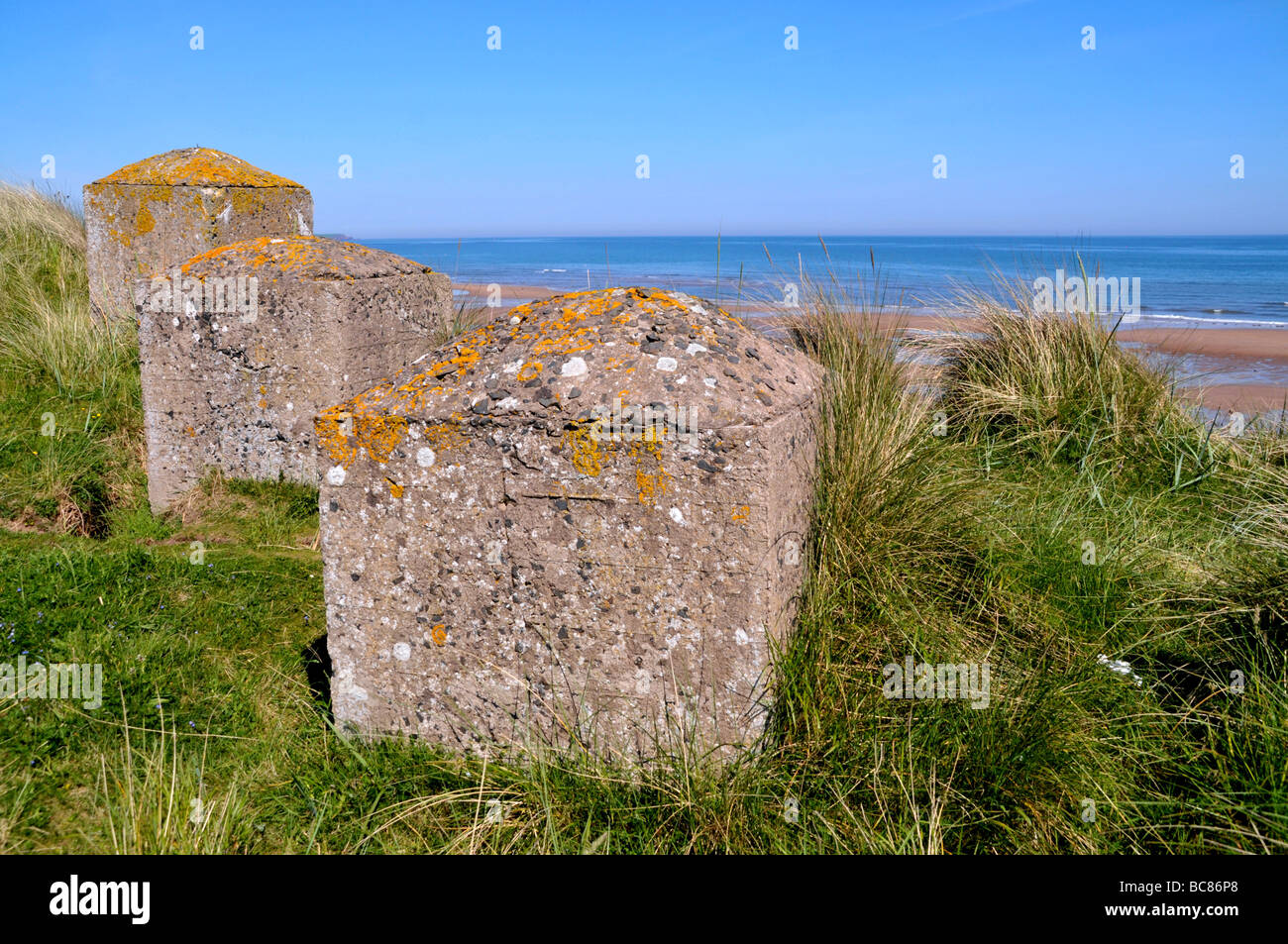 World war two defence  concrete columns on the north east coast of Scotland. Stock Photo