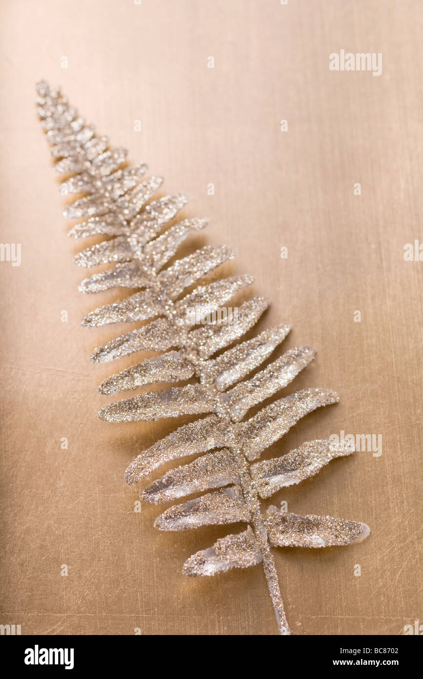 Christmas fern hi-res stock photography and images - Alamy