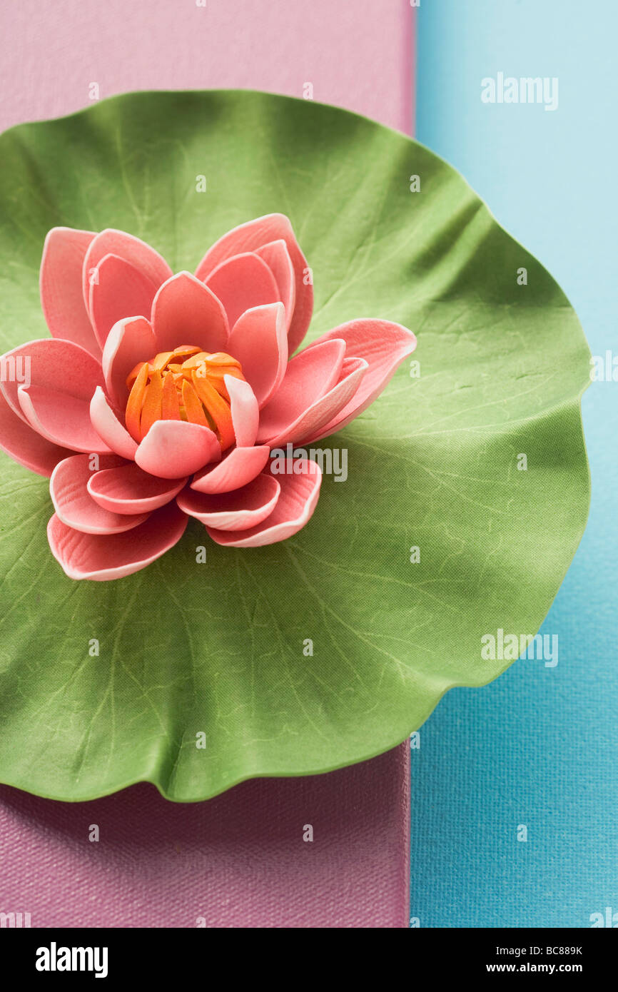 Water lily from above - Stock Photo