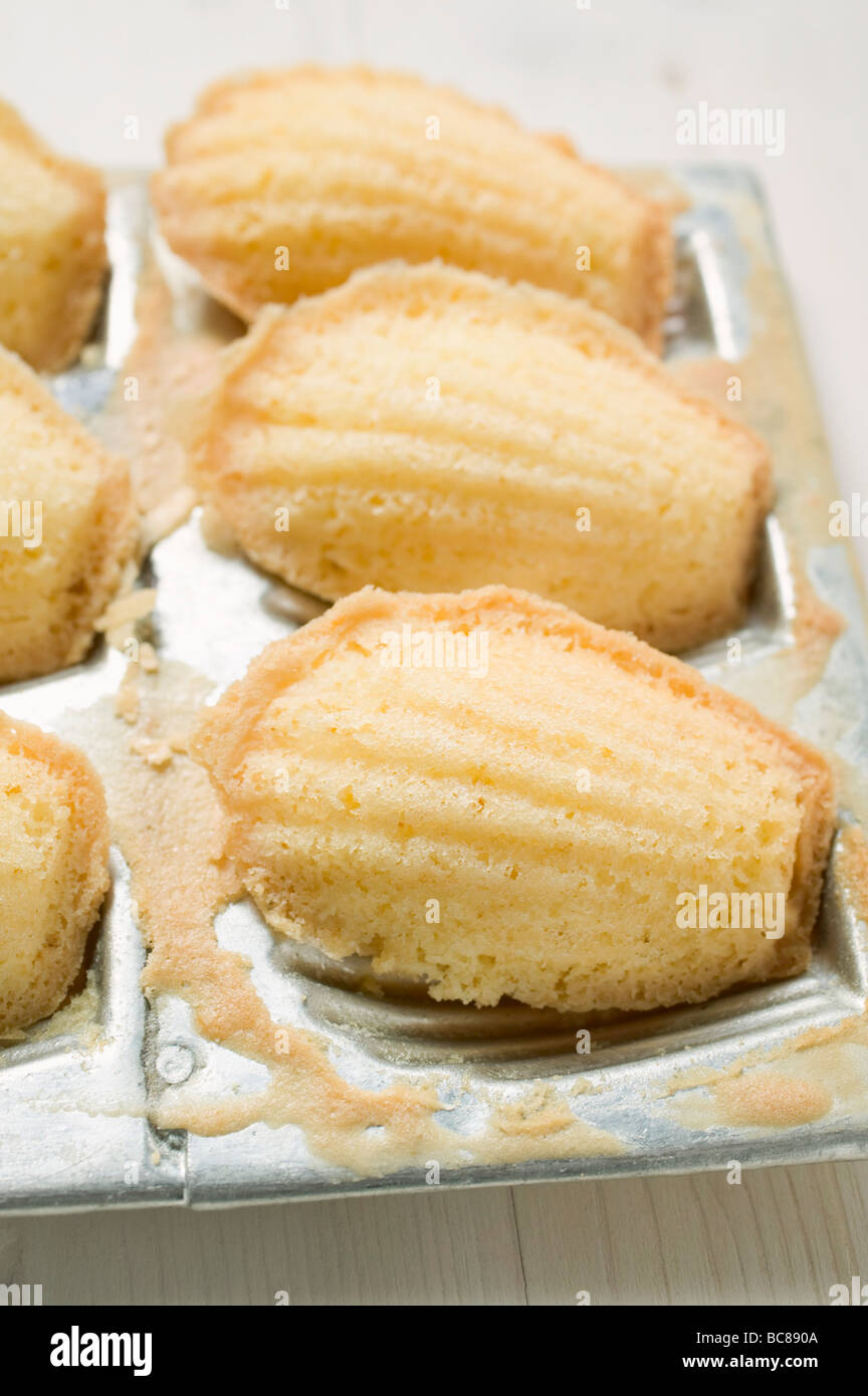 Madeleine pan hires stock photography and images Alamy