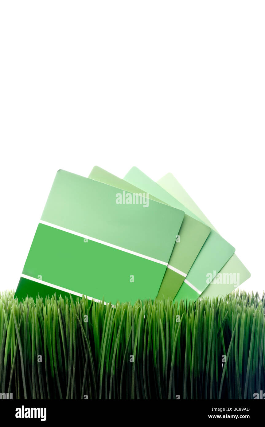 Vertical image of green paint chip samples on green grass with white space for copy Stock Photo