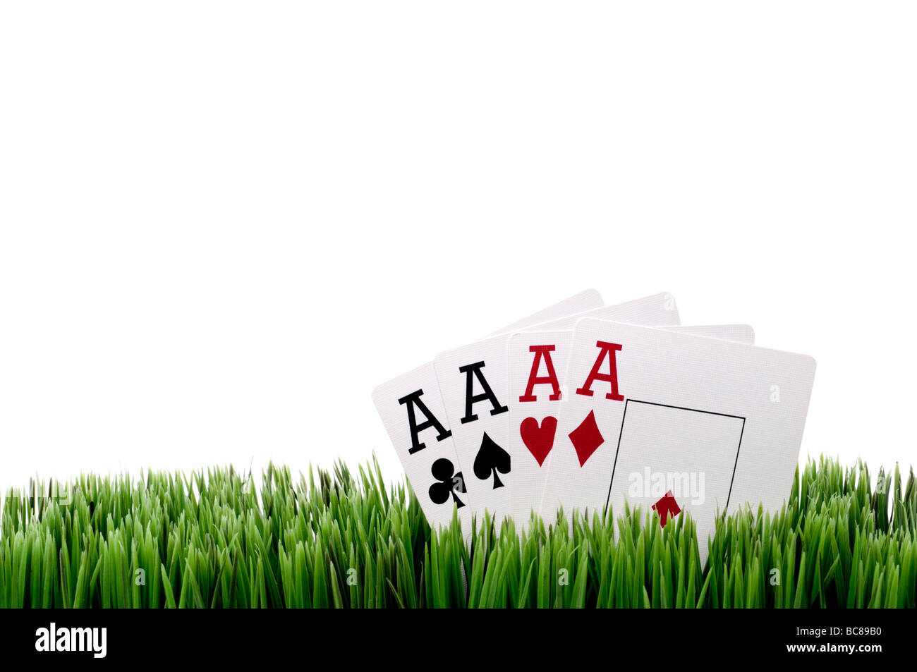 a horizontal image of four ace playing cards in grass with a white background Stock Photo
