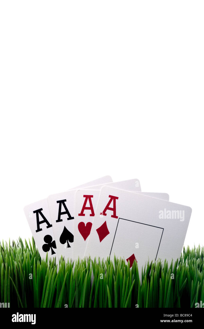 a vertical image of four ace playing cards in grass with a white background Stock Photo