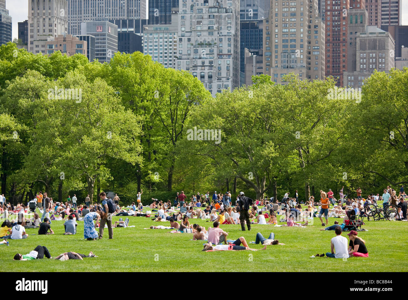 Sheep Meadow in Central Park in New York City Stock Photo