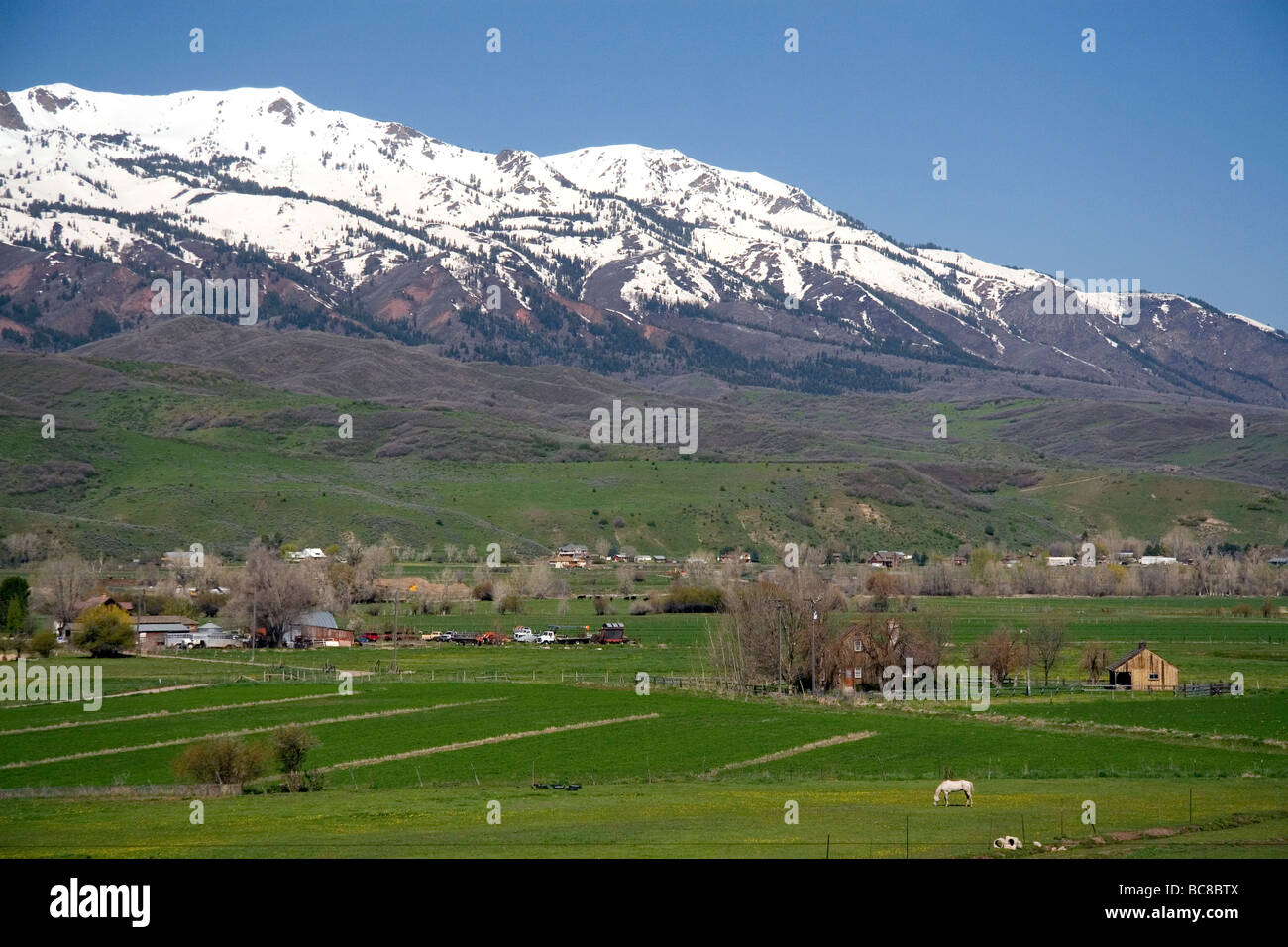 Pasture with horse grazing below the Wasatch Mountain Range near Peterson Utah USA Stock Photo