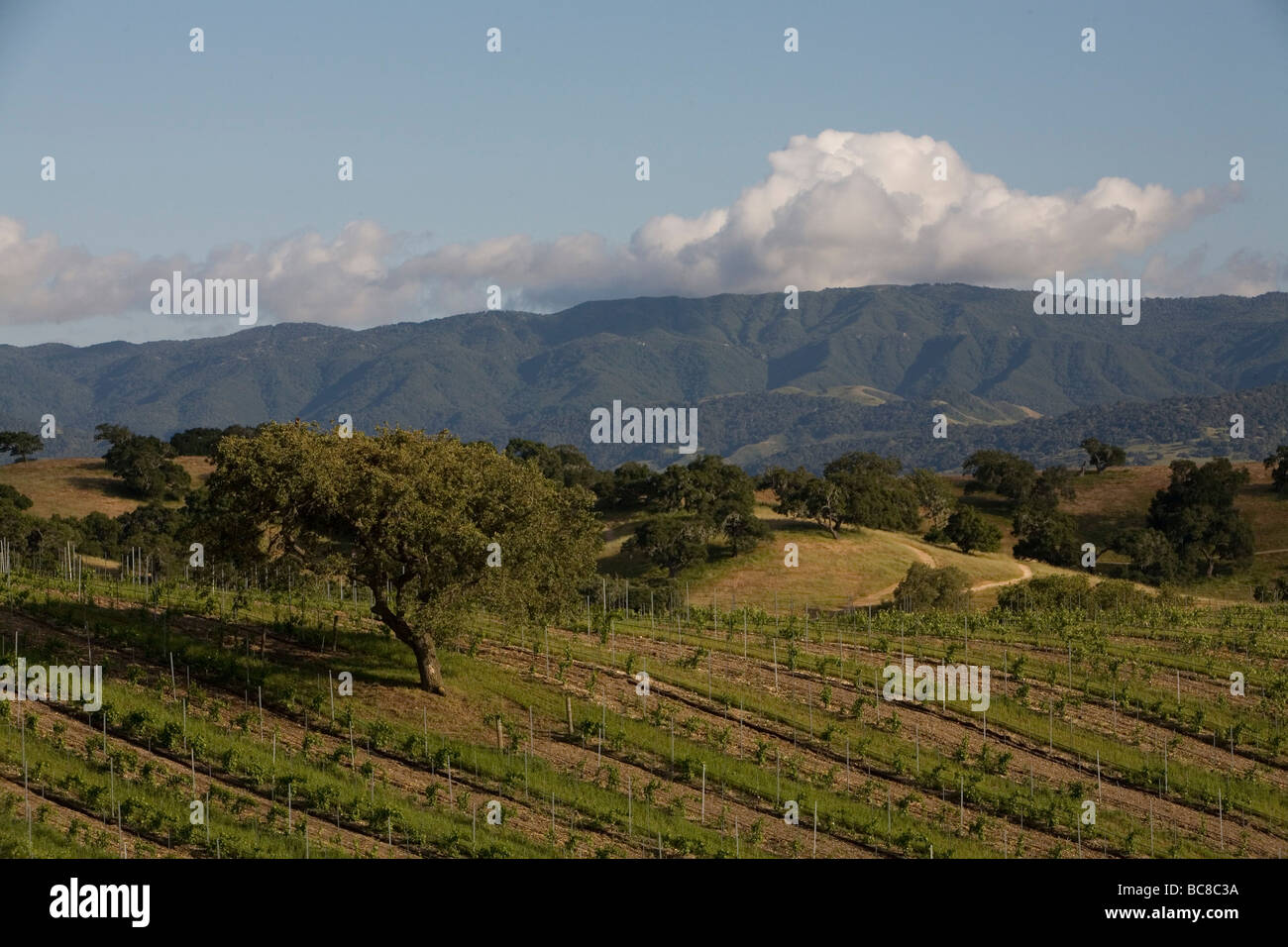 Santa Barbara County Countryside Stock Photo Alamy