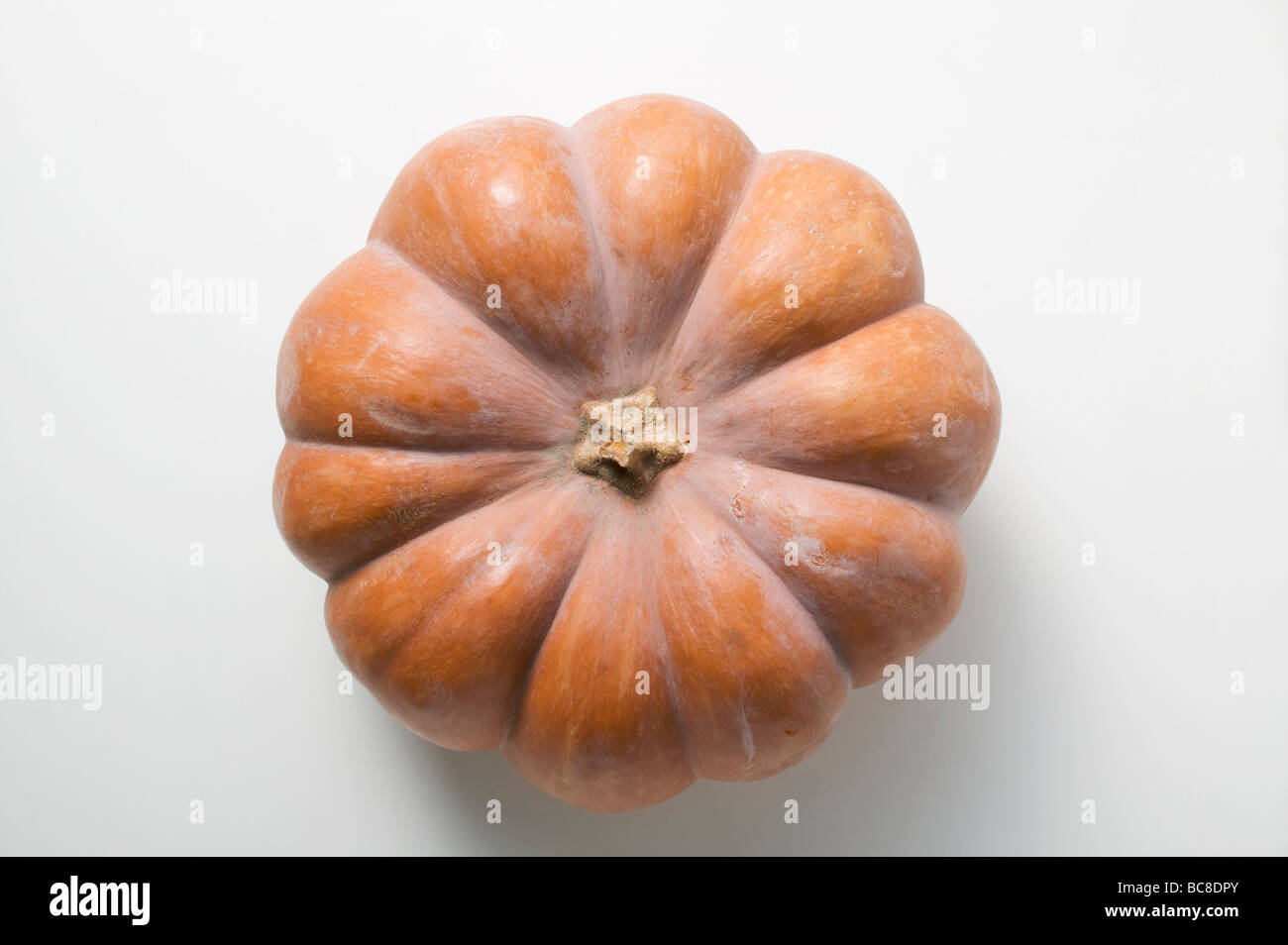 Pumpkin (overhead view) - Stock Photo