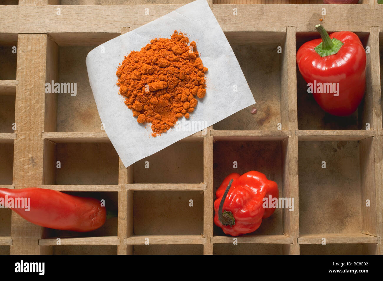 Pepper, chillies and chilli powder in type case - Stock Photo