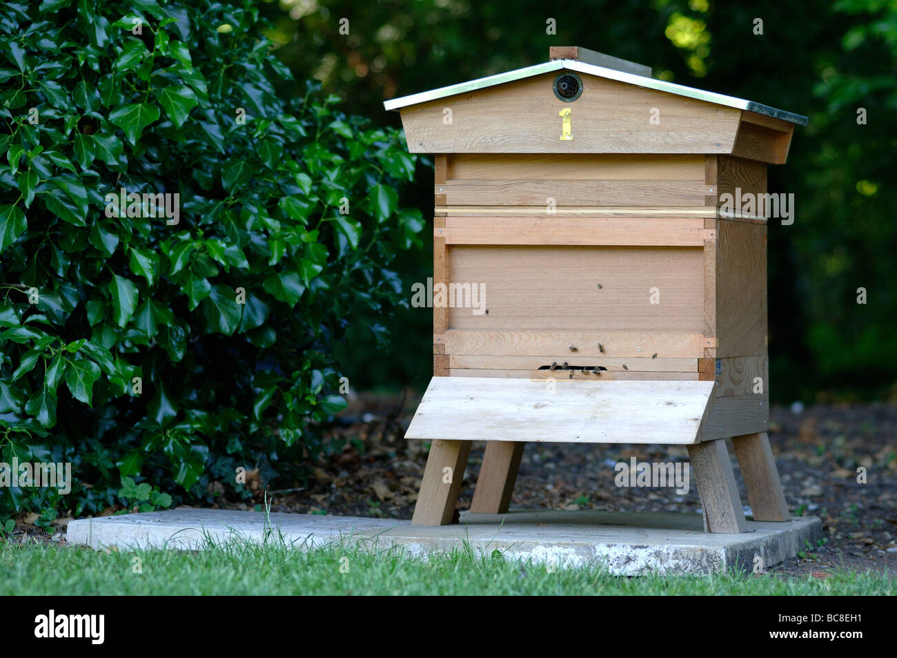 A National Bee Hive with gable roof Stock Photo Alamy