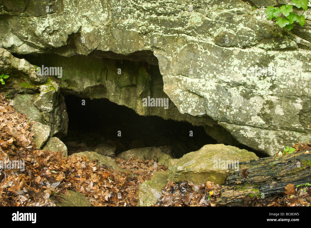Cave Entrance on Nature Conservancy Preserve in Tennessee Stock Photo