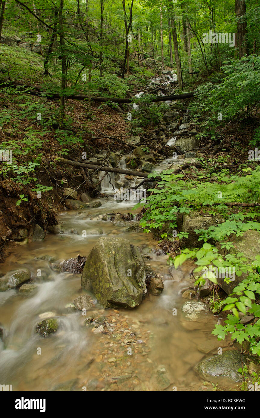 Wet weather stream which runs into underground cave system on Nature