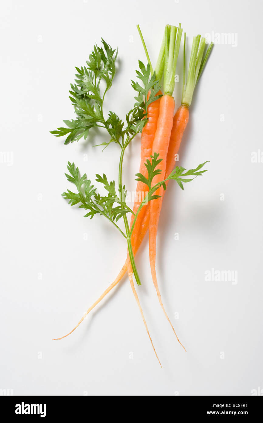 Three young carrots and a carrot leaf Stock Photo Alamy