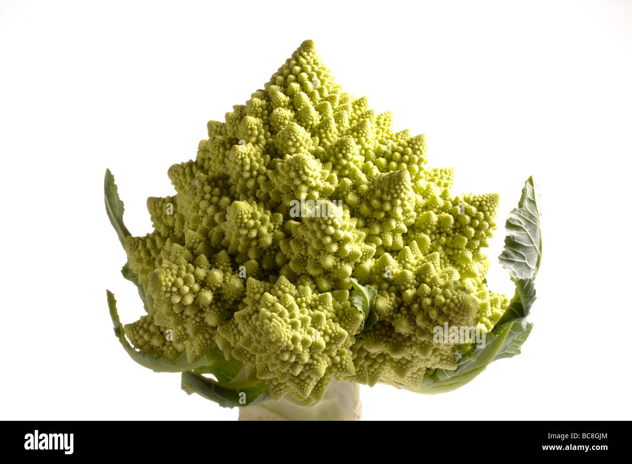 Green cauliflower,Romanesco cauliflower Stock Photo