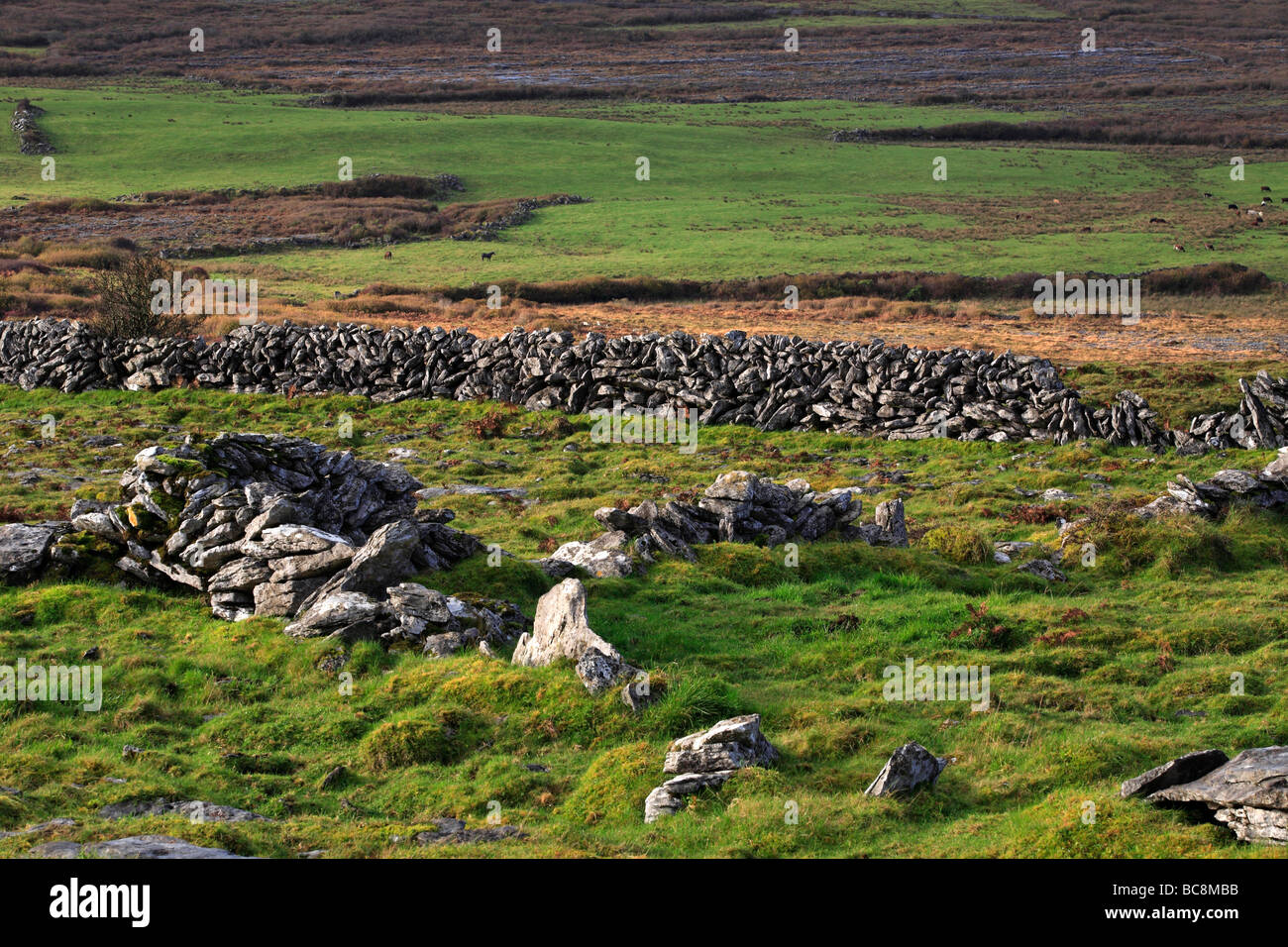 Stone Walls Ireland Stock Photo Alamy