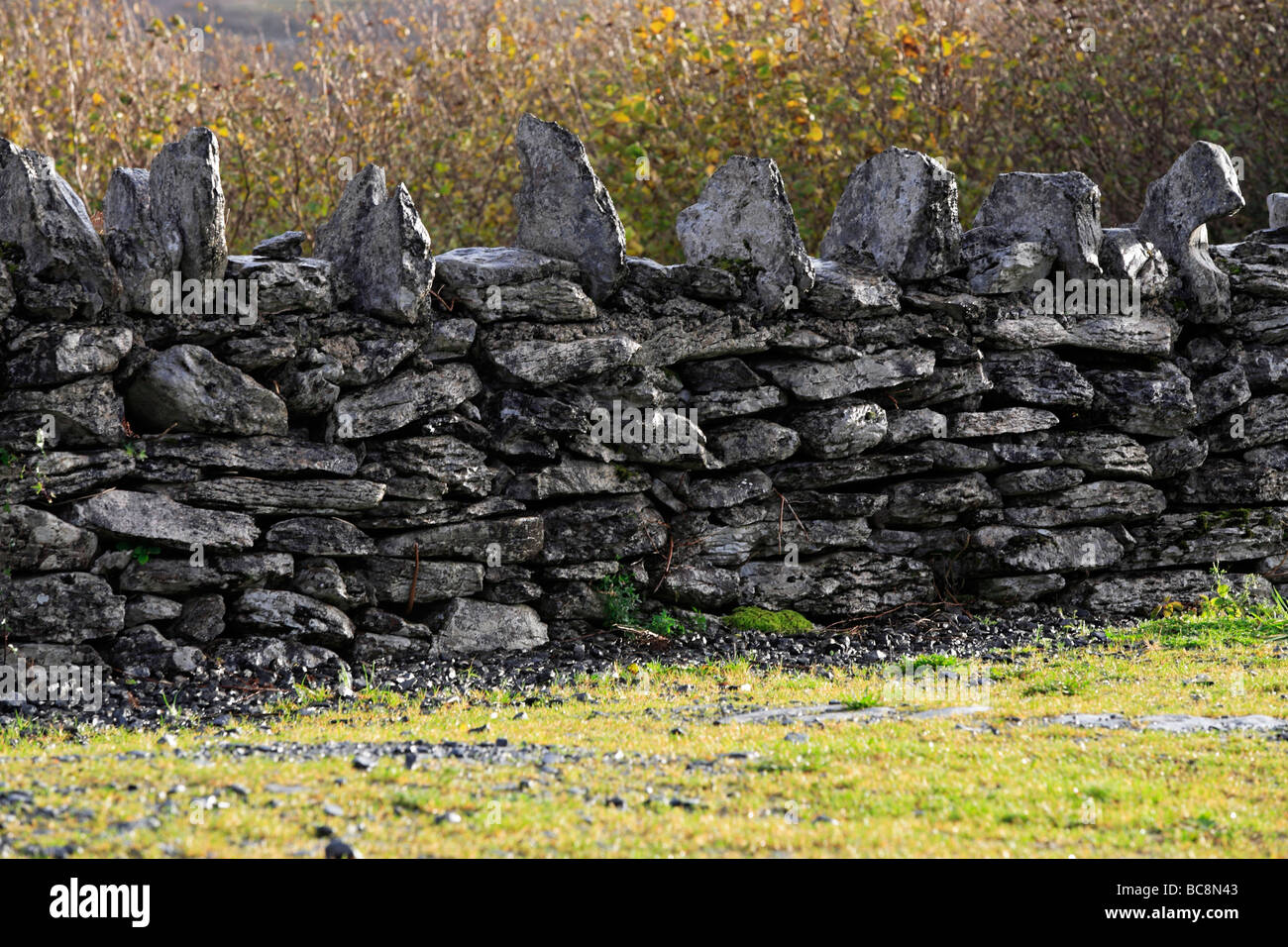 Stone Wall Ireland Stock Photo Alamy
