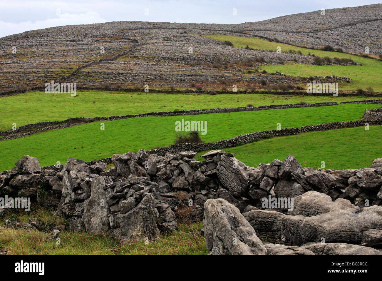 Stone Walls and Green Landscape Pasture Ireland Stock Photo