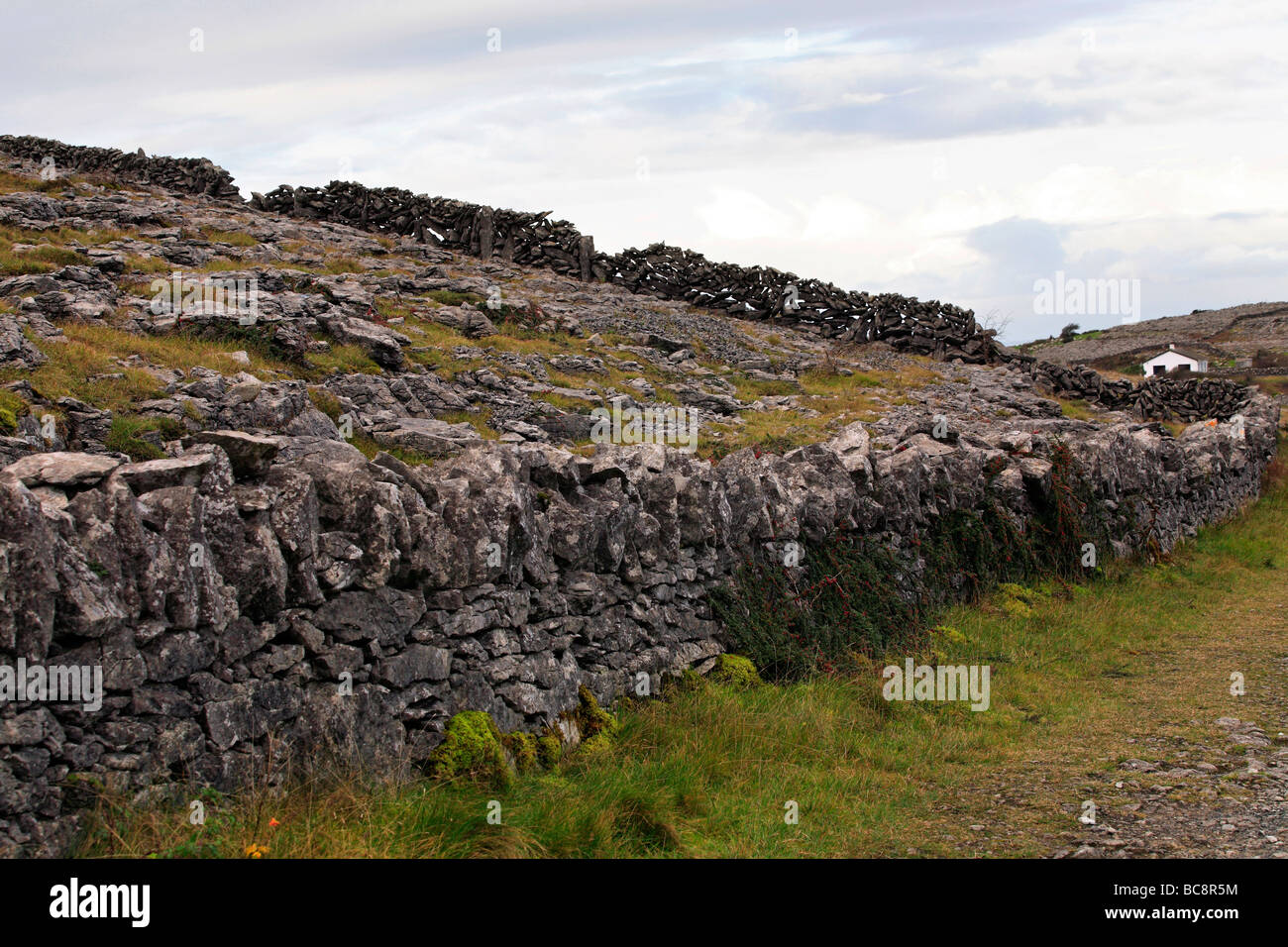 Stone Walls Ireland Stock Photo