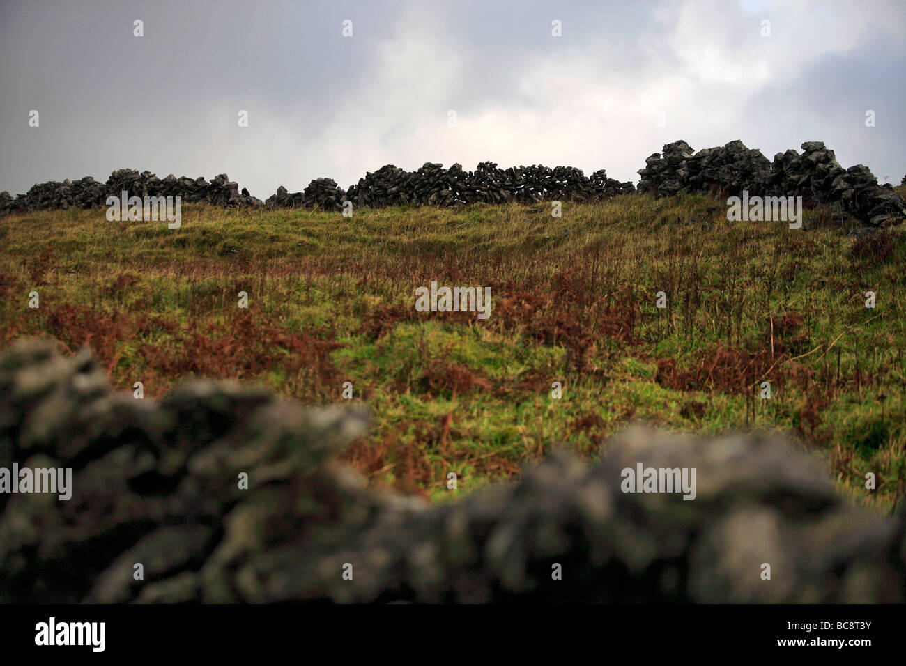 Stone Walls Ireland Stock Photo