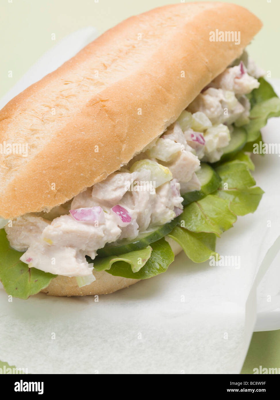 Chicken salad sub sandwich Stock Photo Alamy