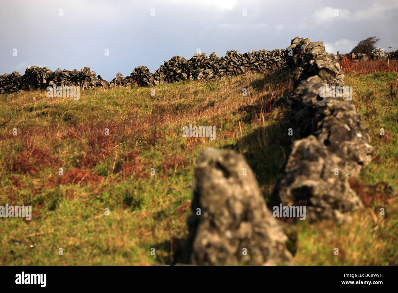 Stone Walls Ireland Stock Photo Alamy