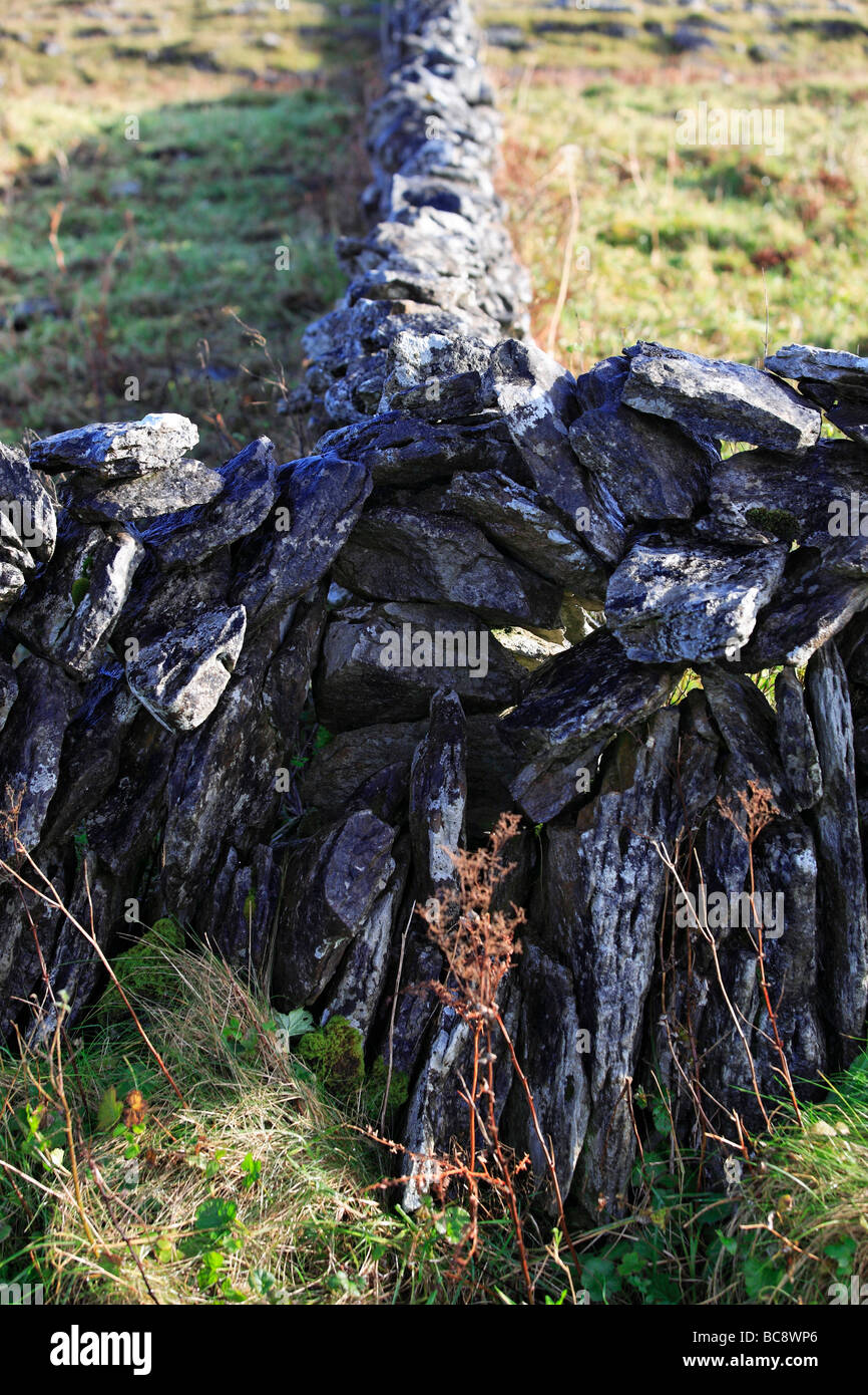 Stone Walls Ireland Stock Photo