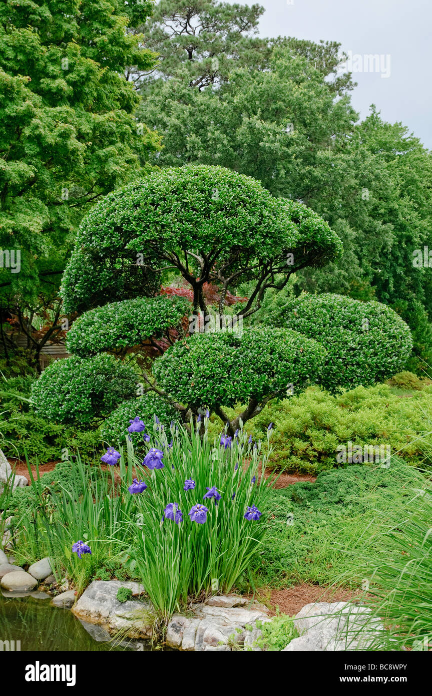 Trees and flowers in a Japanese Garden Stock Photo Alamy