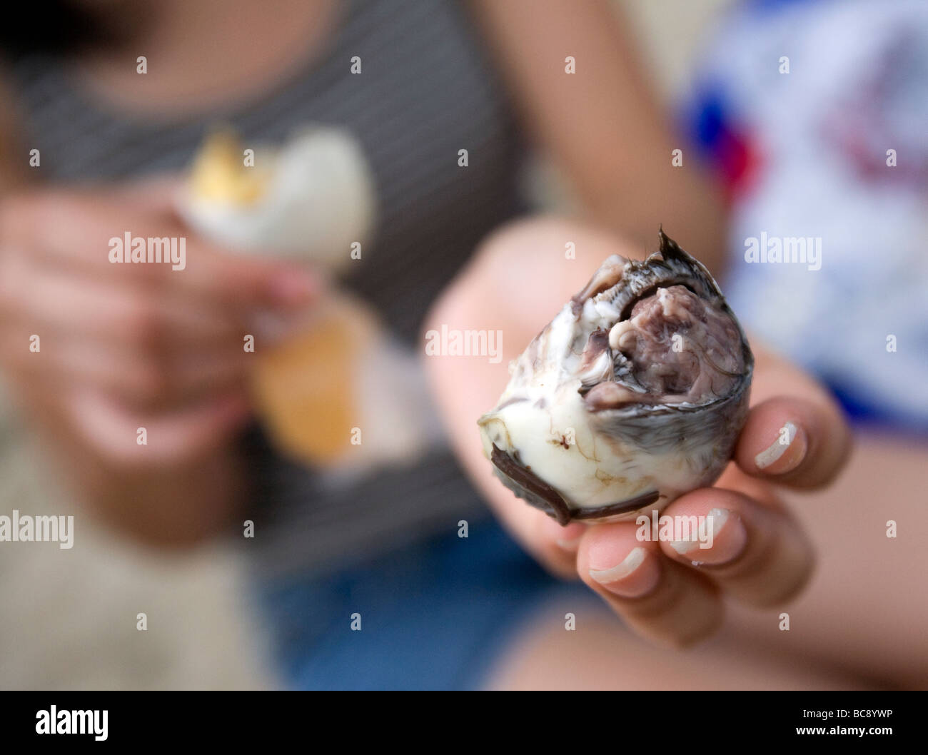A Filipina eats a Balut  with vinegar on a beach in Puerto Galera, Philippines. Stock Photo
