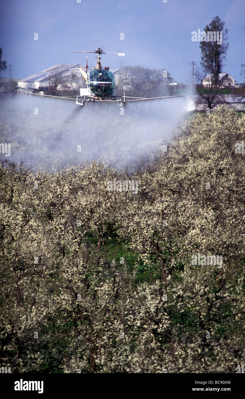 Helicopter spraying crops hires stock photography and images Alamy