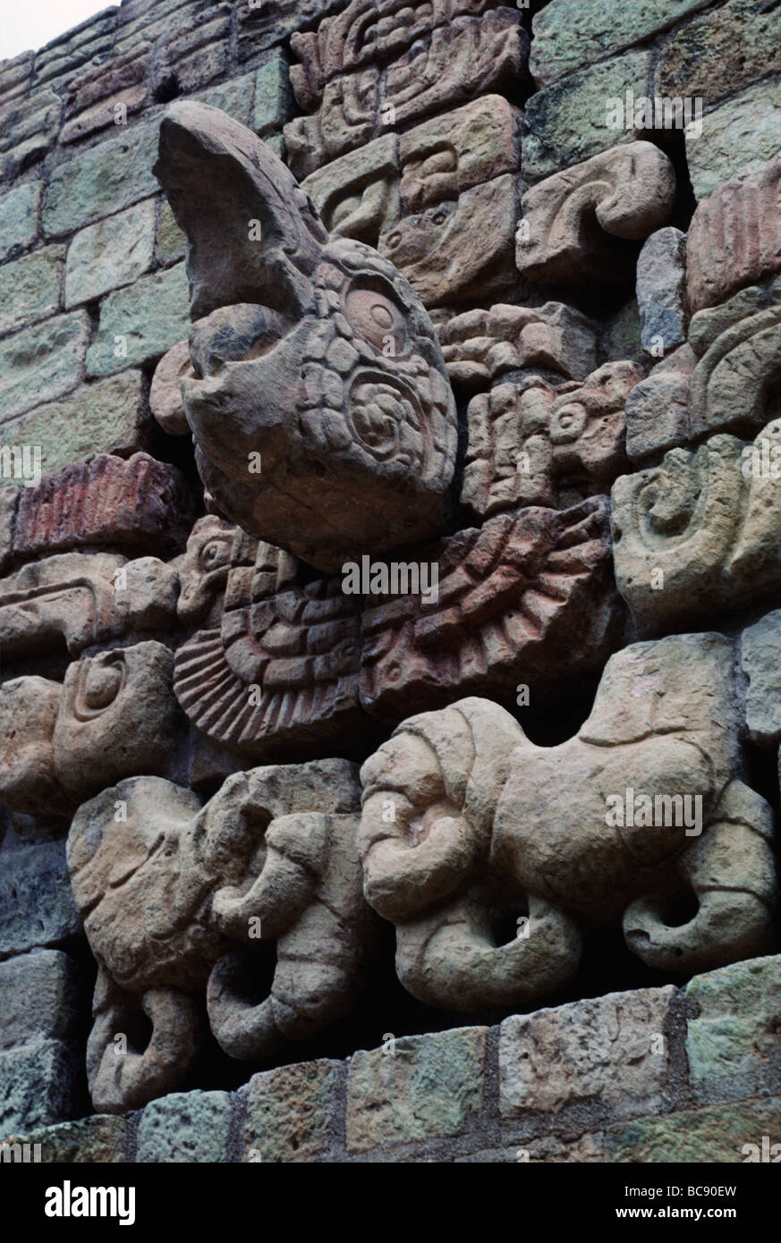 EAGLE CARVING in BALL COURT dated to 775 AD used for MAYAN BALL GAME COPAN RUINS HONDURAS Stock Photo
