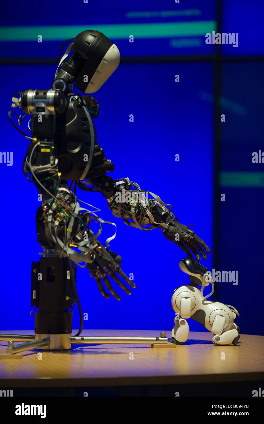 BERTI  a human-sized gesturing robot built by Graham Whiteley strocking a robot dog Stock Photo